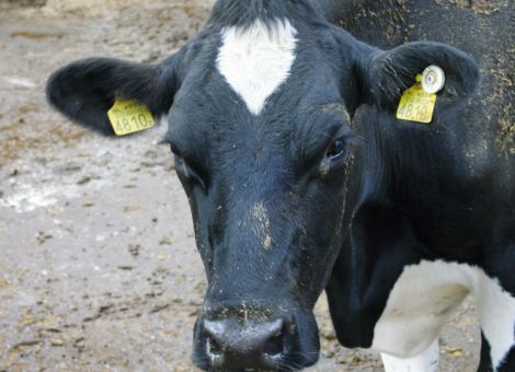 Endphase der BHV1-Sanierung in Hessen
