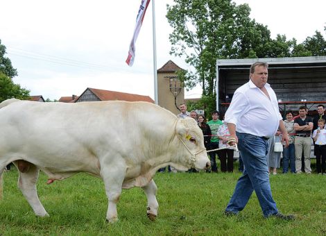 Elitepartner in der Tierzucht