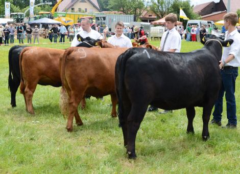 Fleischrinderrassen ergänzen Tierschau in Melzdorf bestens