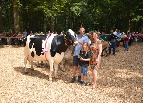 Tierschau zum Ochsenfest