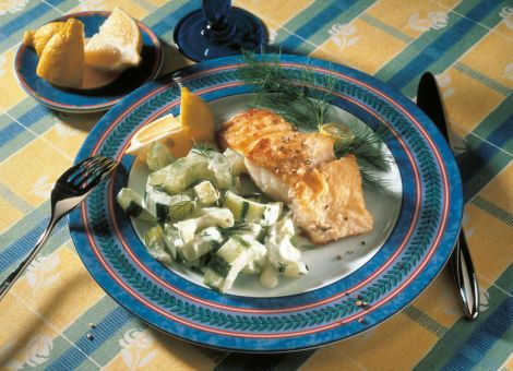 Rotbarschfilet auf Dillgurken