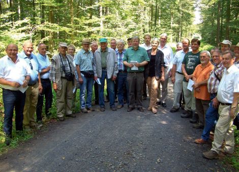 Waldwirtschaft am Limes