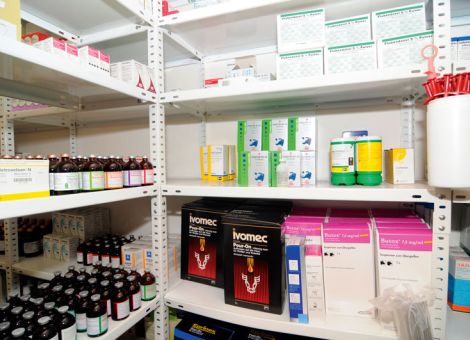 Antibiotikaabgabe in der 
Tiermedizin hat sich verringert