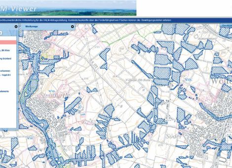 Greeningflächen können nicht für HALM angerechnet werden