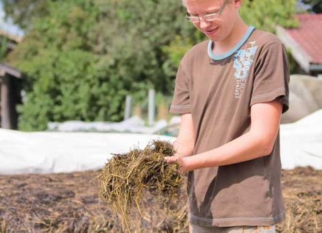 Energiegehalte über dem Schnitt, Proteingehalte mäßig