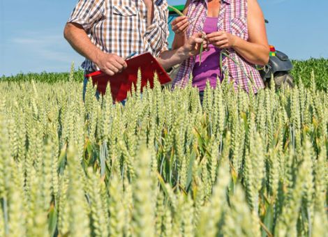 Familienbetriebe entscheidend für Ernährungssicherung
