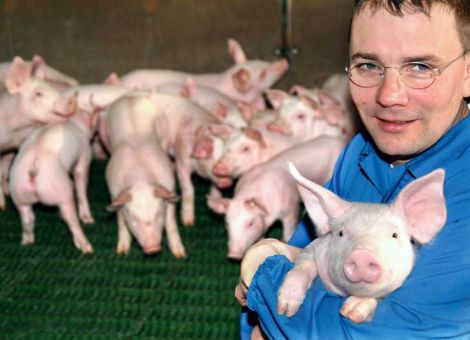 Initiative Tierwohl in den Startlöchern