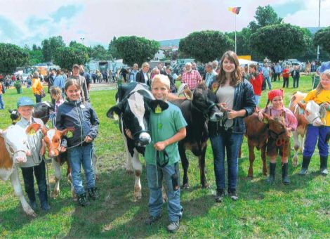 Erstklassige Tierschau zum Odenwälder Pferdemarkt