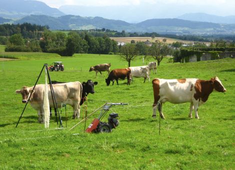 Weidebasierte Milchproduktion 