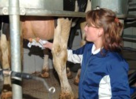 Hohe Zellzahlen durch Umweltkeime?