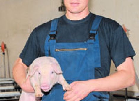 Fruchtbarkeitsstörungen zu 30 Prozent infektiös bedingt