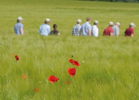 Nur die Harten kommen in den Öko-Garten