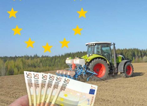 Betriebsprämien für 2014 bleiben weitgehend konstant