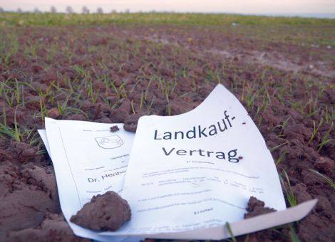 DBV will Vorrang für aktive Landwirte auf dem Bodenmarkt