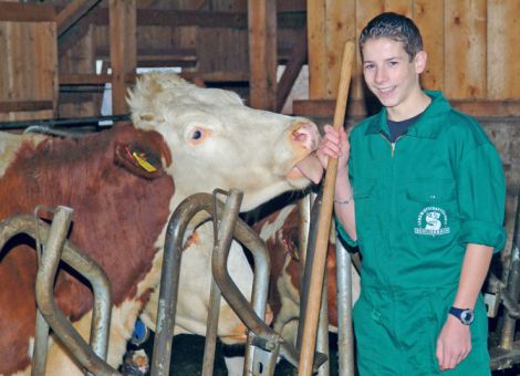 Mit Kühen tiergerecht umgehen