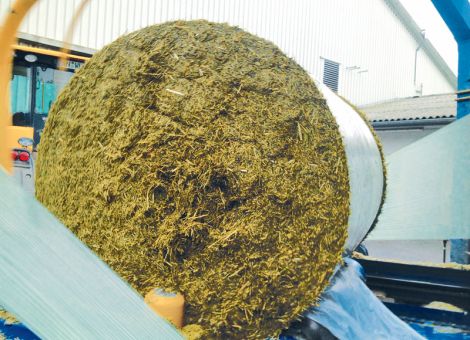 Grundfutter verlustarm in Ballen silieren