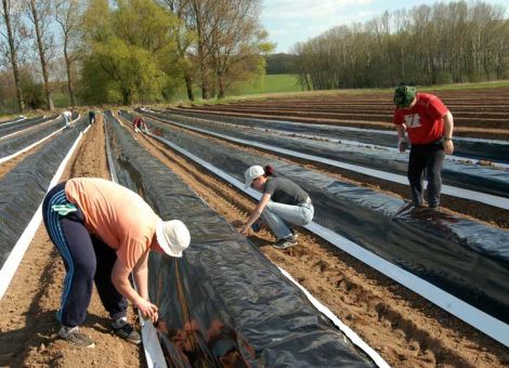Tarifausschuss befürwortet Allgemeinverbindlichkeit