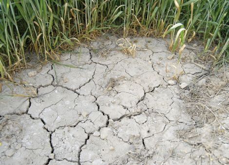 Unsere Böden werden schrumpfen