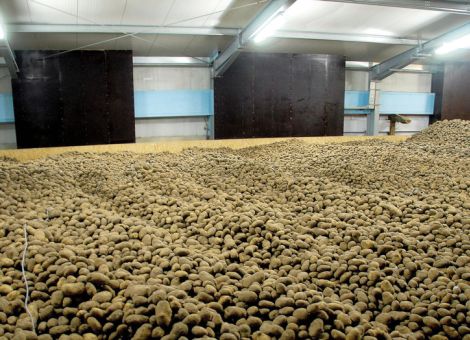 Endlich kühlere Außentemperaturen