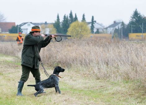 Hunde bei der Jagd absichern