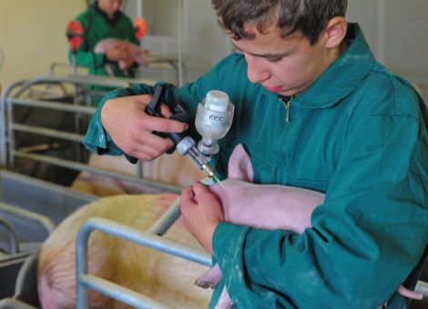 Antibiotikadatenbank: Wie die Behandlungstage angeben?