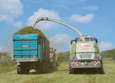 Luzernesilage: Potenzial für die Öko-Geflügel- und Schweinefütterung