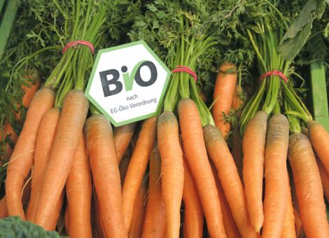 Die Biobranche bleibt auf Wachstumskurs