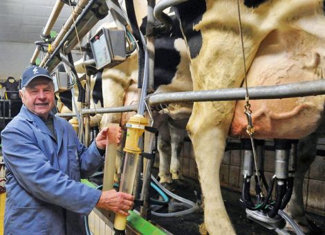 Wie geht es für die Betriebe nach der Milchquote weiter?
