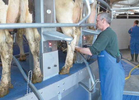 EU-Kommission will Stundung der Milchsuperabgabe erlauben