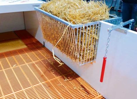 Beschäftigung fürs Schwein