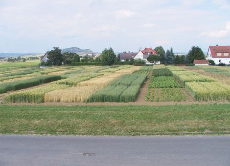 Viele Fachinfos aus Liederbach
