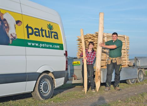 Robinienpfähle: von Natur aus stark