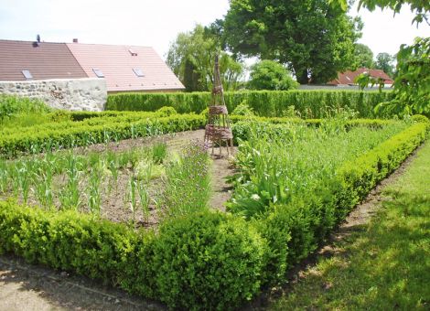 (Fast) kein Garten ohne Hecke