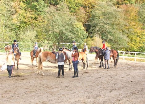 Ferien mit Pferden erleben