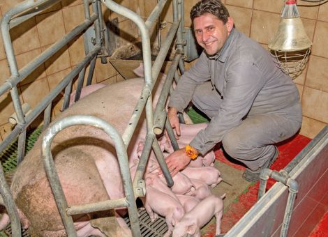 Wissenschaftler fordern Umbau der Tierhaltung