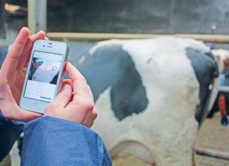 Selektive Therapieansätze und neue Strategien