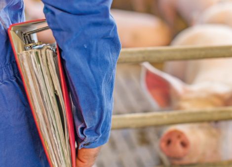 „Meilenstein“ zur Senkung des Antibiotikaeinsatzes