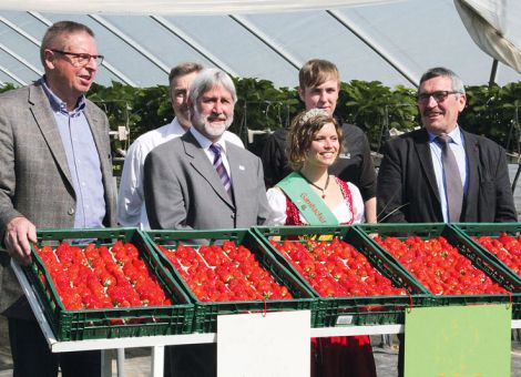Frühe Früchtchen mit Biogas