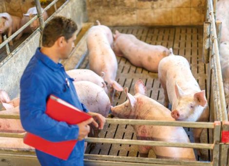 Große Resonanz bei der Initiative Tierwohl