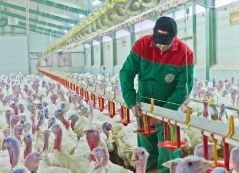 Lücken in der staatlichen Antibiotikadatenbank