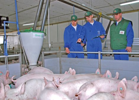 Entscheidung zur staatlichen Antibiotikadatenbank