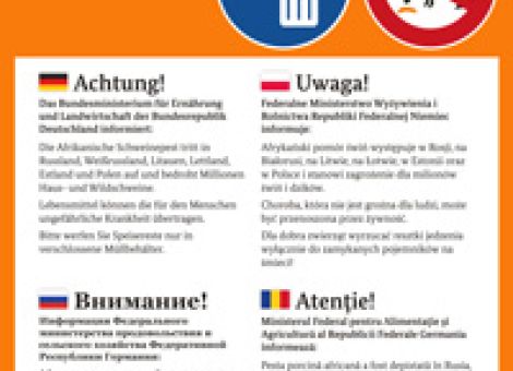 Einschleppung der Afrikanischen Schweinepest verhindern