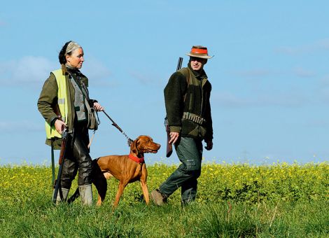 Hund vor Zeckenbiss schützen