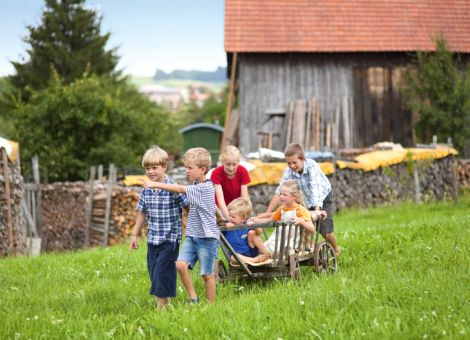 Toben, Tiere und Traktoren auf dem Kinderbauernhof