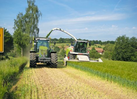 Ganzpflanzensilage aus Getreide ist besser als ihr Ruf
