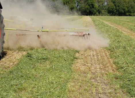 Nutzung von Vorrangflächen für Futterzwecke erlaubt