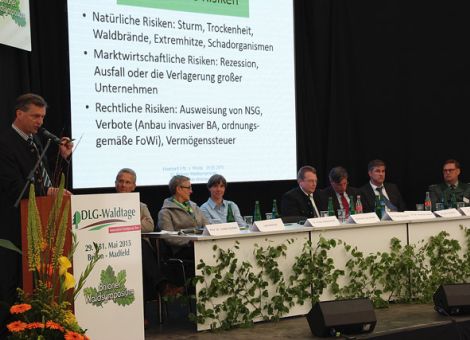 Nadelholz und Artenschutz