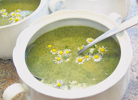 Brennnesselsuppe