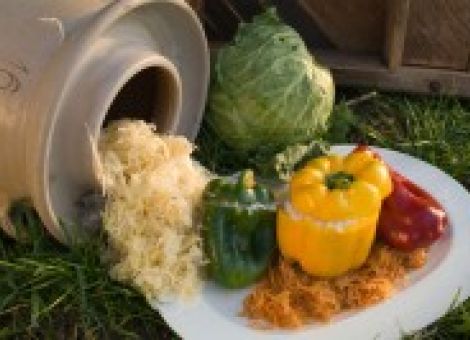 Gefüllte Paprika auf papriziertem Kraut