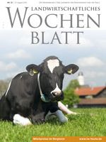 Ausgabe 35/2015 Ausgabe 35/2015